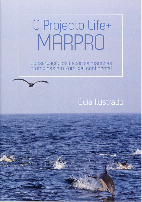 O Projecto Life+ MARPO – conservação de espécies marinhas protegidas em Portugal continental