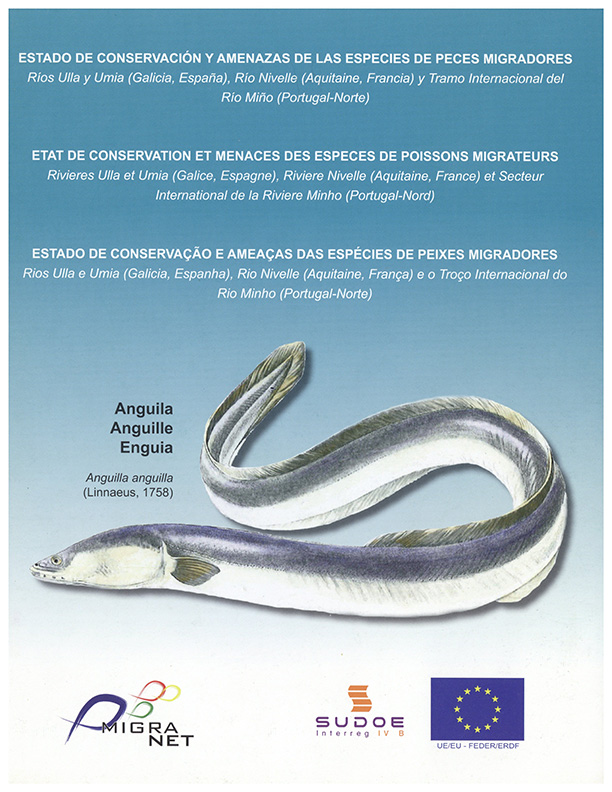 Estado de conservação e ameaças das espécies de peixes migradores – enguia