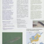 Estado de conservação e ameaças das espécies de peixes migradores – lampreia
