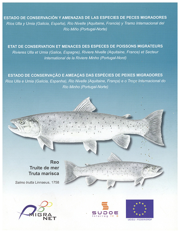 Estado de conservação e ameaças das espécies de peixes migradores – truta