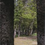 Reencontro com a natureza – Parque Ecológico Urbano de Viana do Castelo