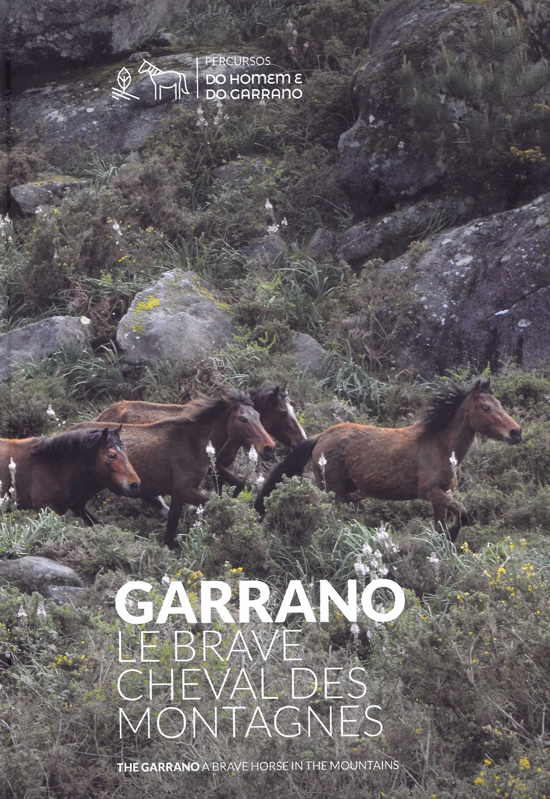 Garrano – o bravo cavalo das montanhas | Garrano – Le brave cheval des montagnes