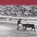 Viana Taurino Clube – 100 anos de vida