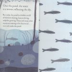 Over and Under the Pond