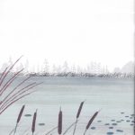 Over and Under the Pond