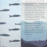 Over and Under the Pond