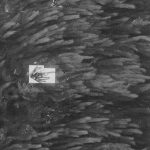 Pasto das Marés – 1 – Preâmbulo