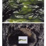 Pasto das Marés – 2 – Casos de estudo