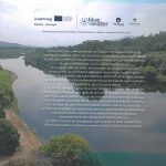 Guia Natural do Rio Minho – crustáceos . peixes