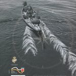 Os últimos Terranovas Portugueses